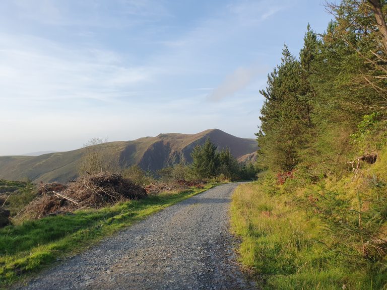The view of a road with beautiful surroundings