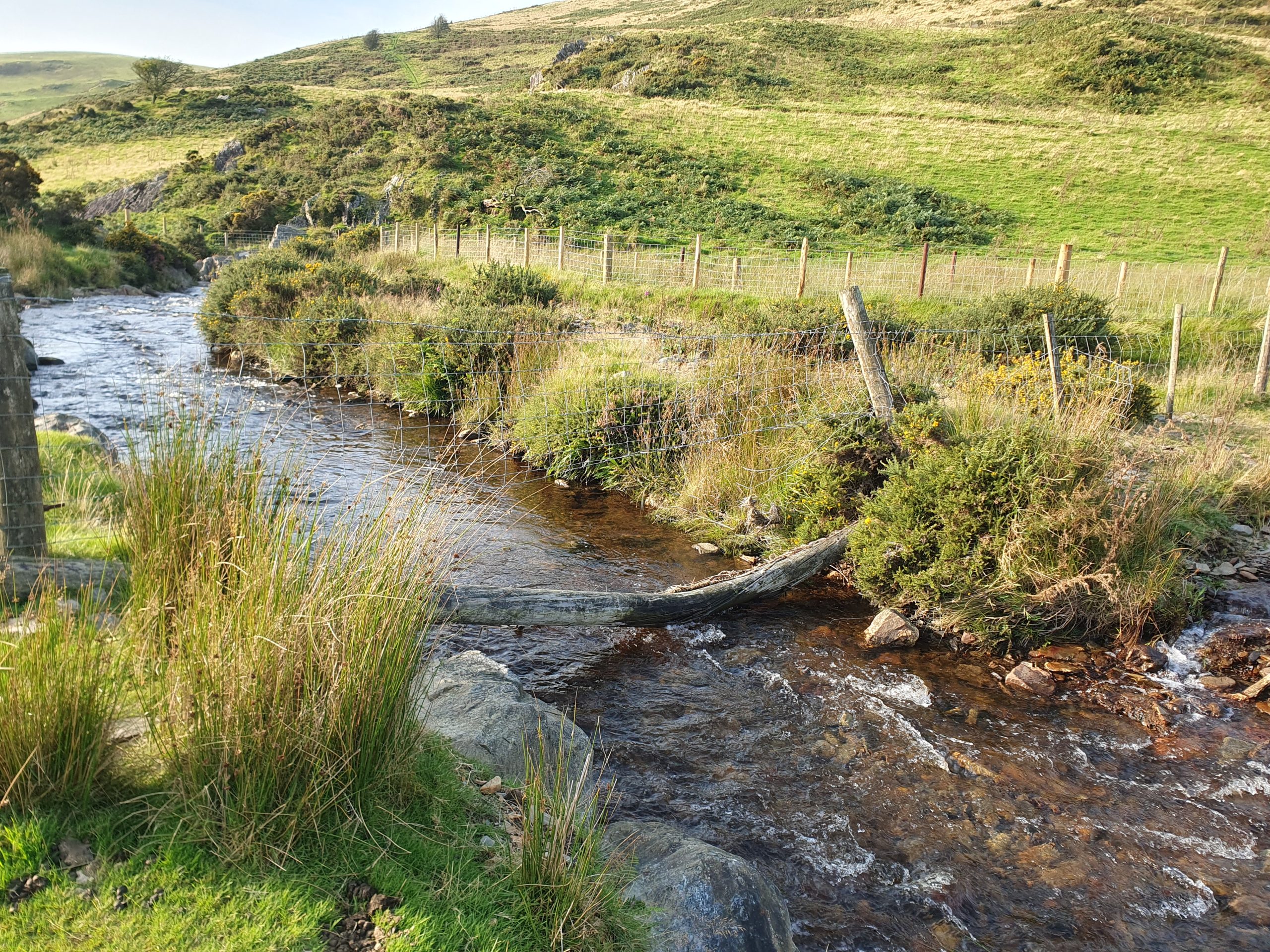 A small river